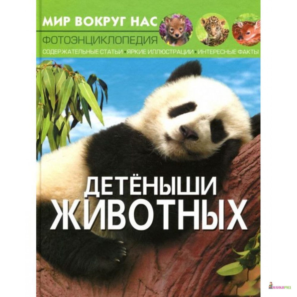

Детеныши животных - Кристал Бук - 790993