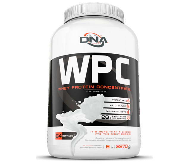 

Протеин DNA Supps WPC 2270 кг Ваниль (335817-3)