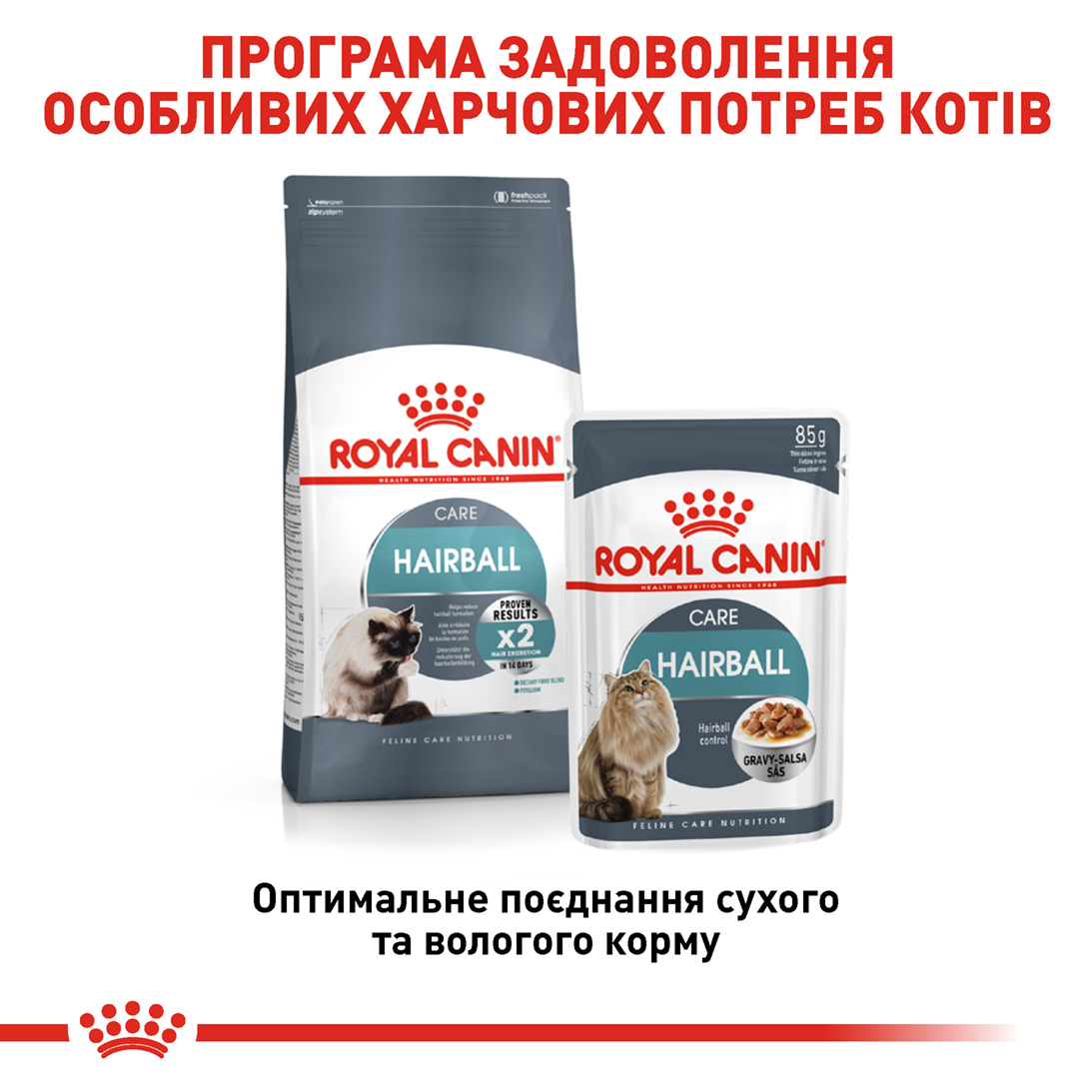 Royal Canin Hairball Care 10 2534100