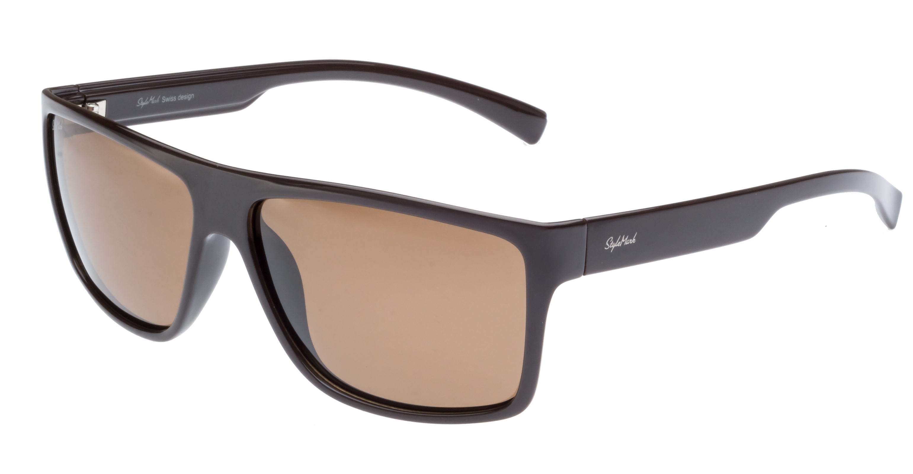 

Мужские солнцезащитные очки StyleMark L2510B