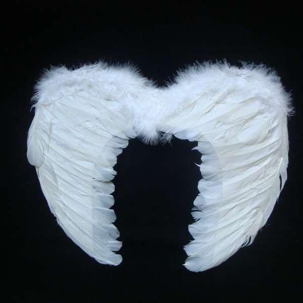 Аглаонема крылья ангела фото и описание
