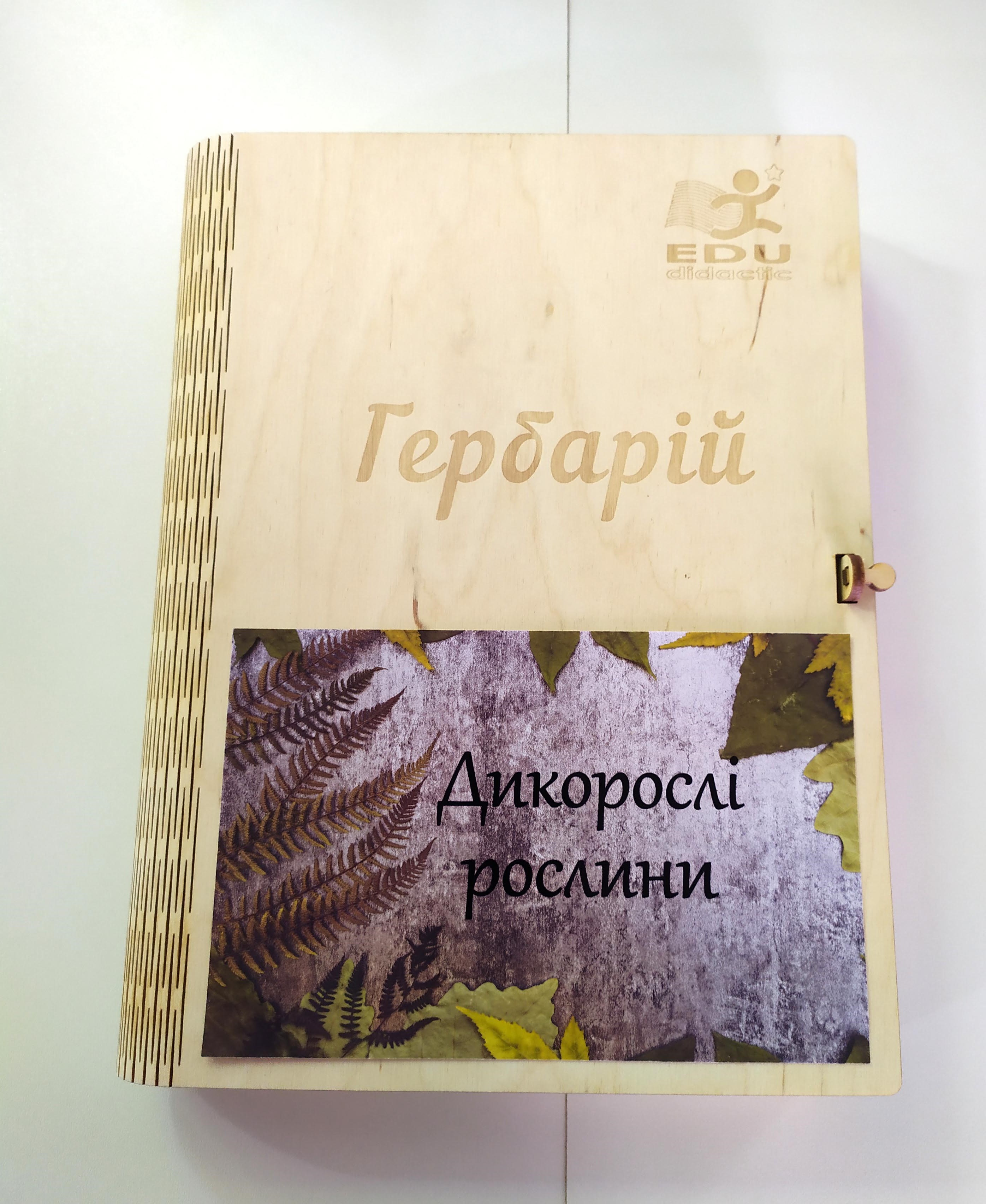 

Гербарий Дикоростущие растения EDU Multicolored