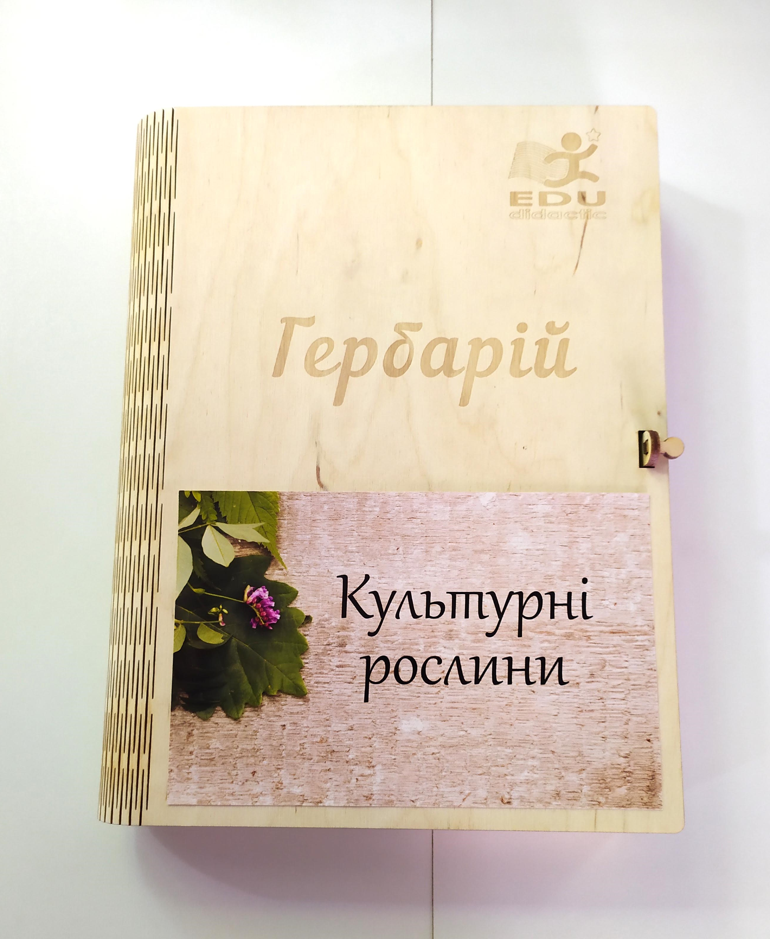 

Гербарий Культурные растения EDU Multicolored