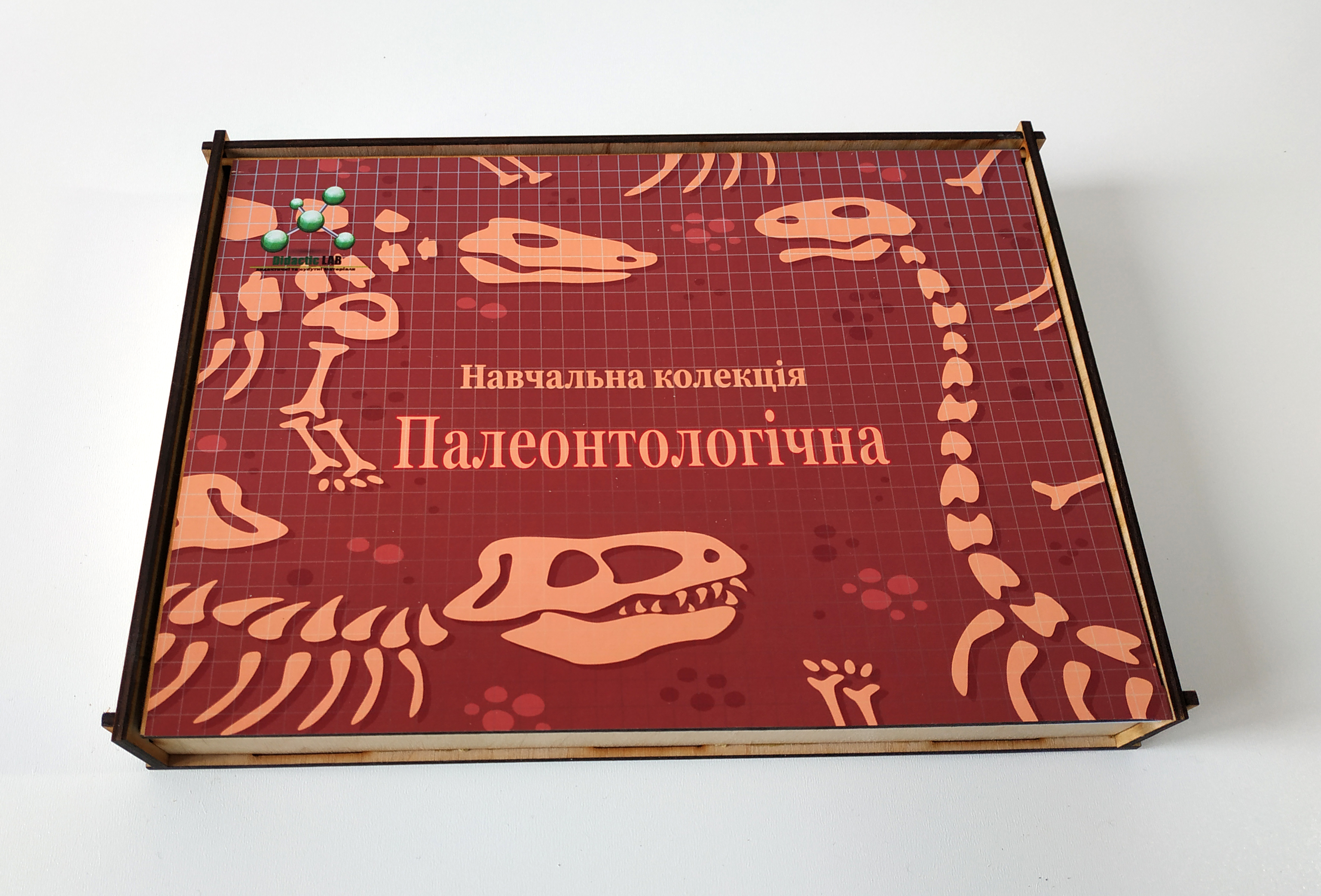 

Навчальна колекція Палеонтологічна EDU Multicolored