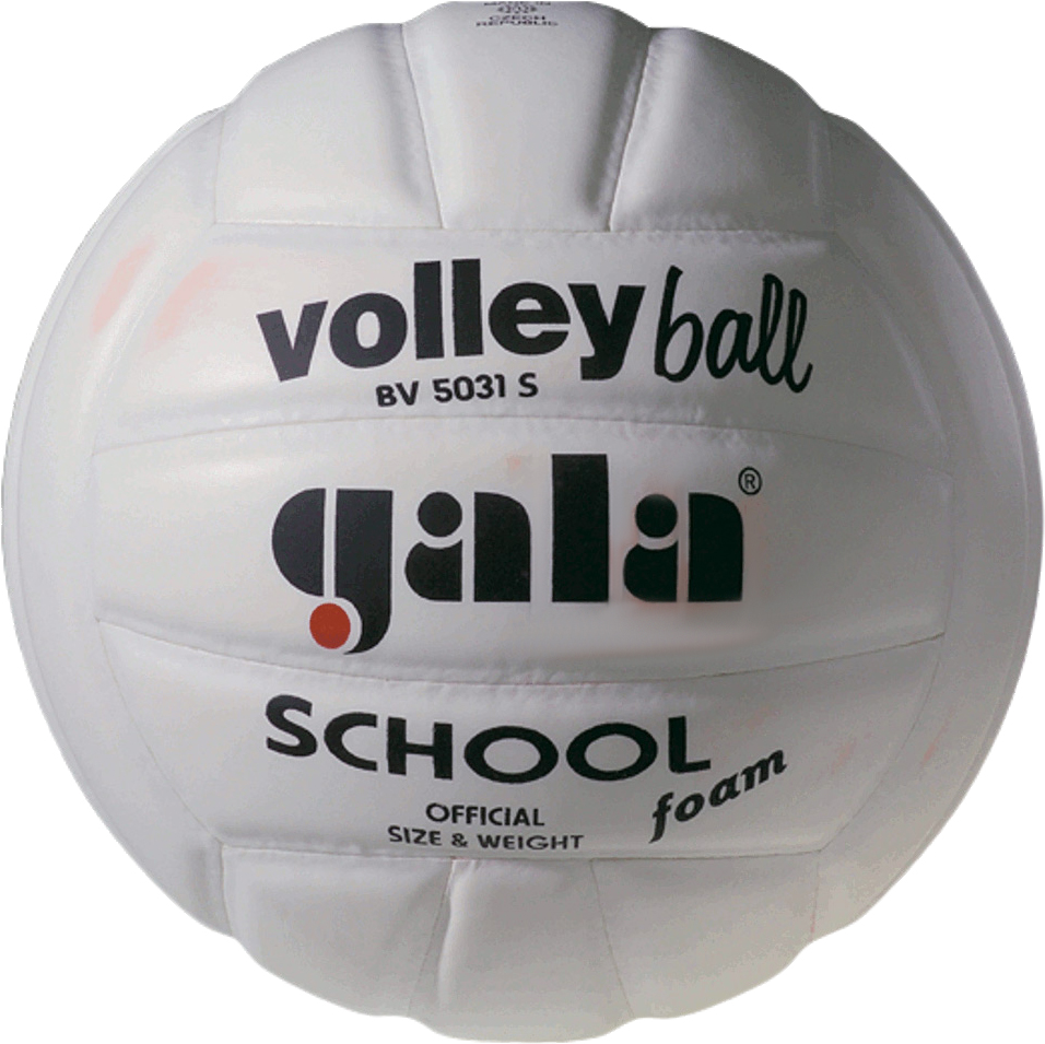 

Мяч волейбольный Gala School White (BV5031SB)
