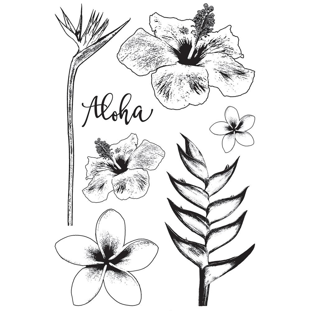 

Набор штампов Darkroom Door Cling Stamps Tropical Flowers