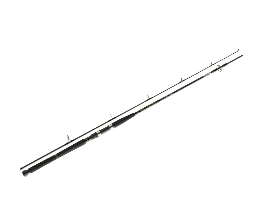 

Спиннинговое удилище Daiwa BG Pilk 2.4м 40-100г (арт.383811885-240)