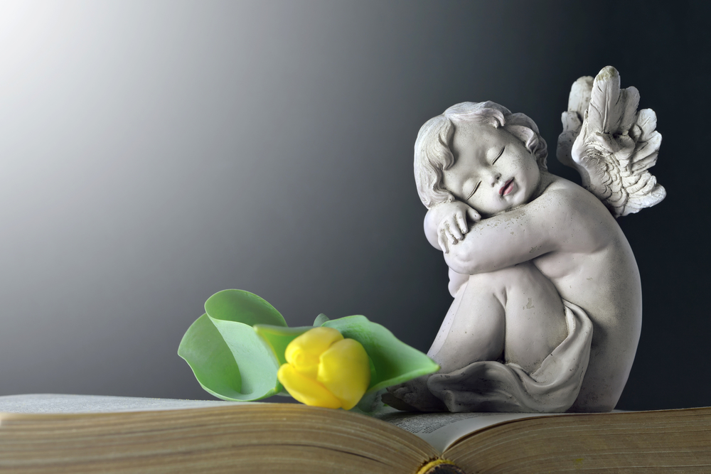 

Фотообои 3D 'Ангелочек' (5480) , Кожа