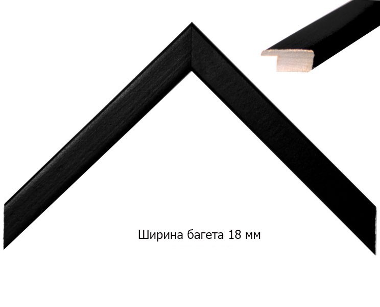 

Фоторамка Галерея Артинформ Дерево 42 х 59.4 см чёрная