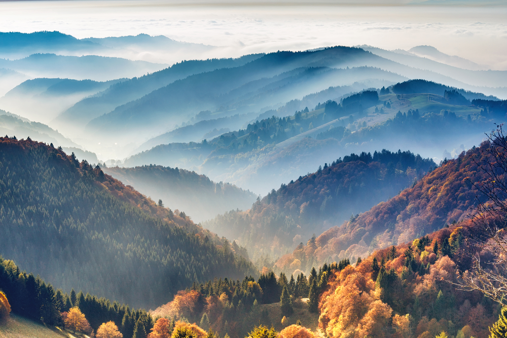 

Фотообои Природа 'Горы' (5932) , Иней