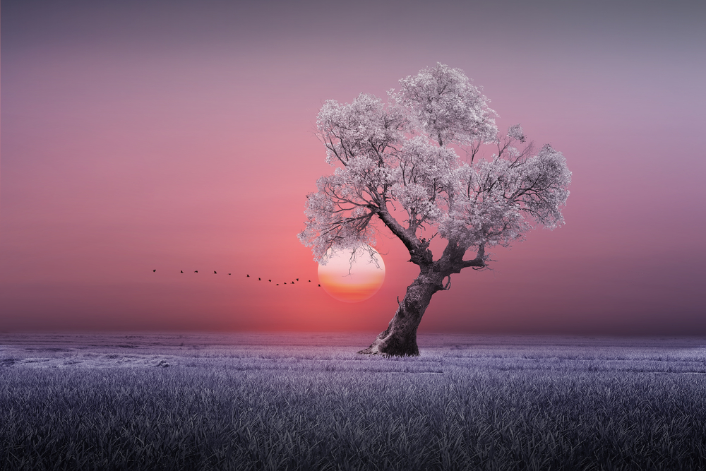 

Фотообои Природа 'Зимнее дерево' (5353) , Живопись