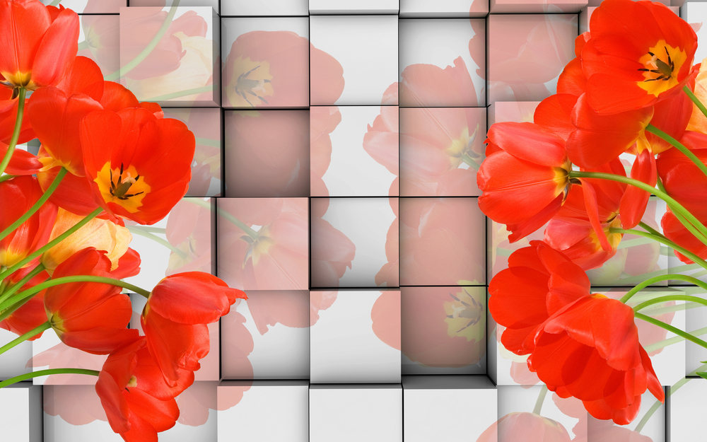 

Фотообои Цветы 'Маки' (5586) , Иней