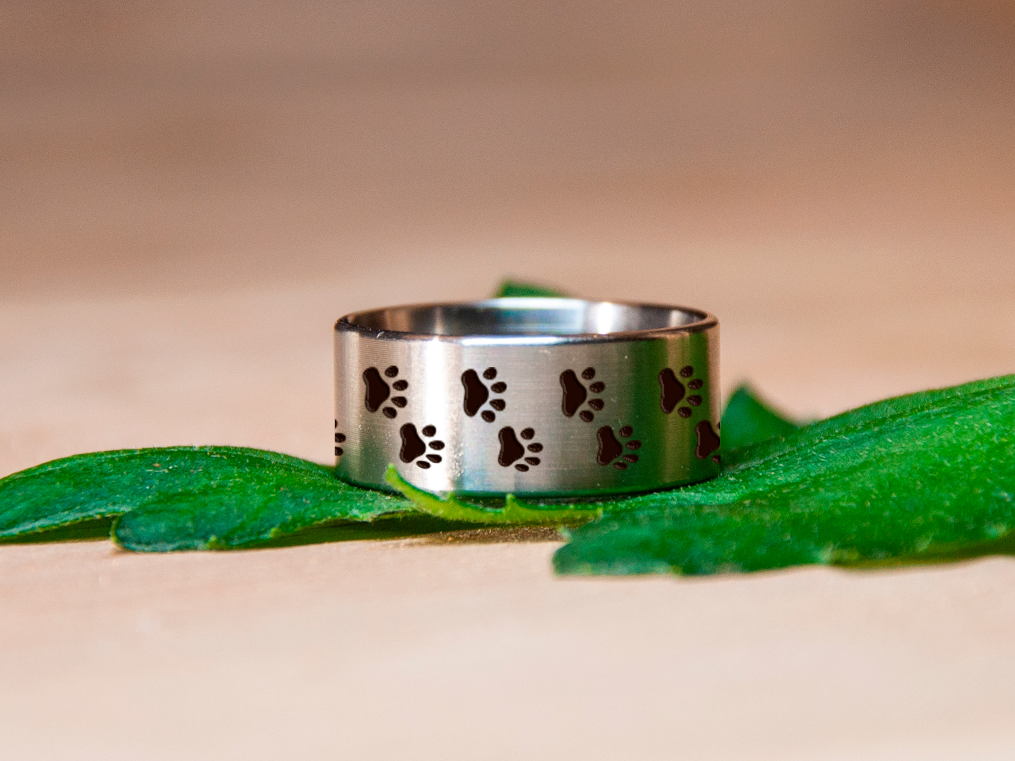 

Кольцо с лапками из ювелирной стали кожаный чехол DIDIART JEWELRY размер 18,2 R0041