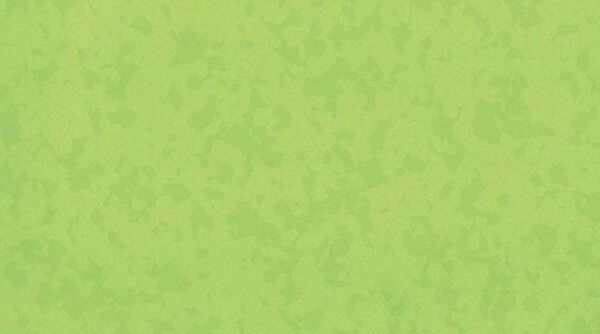 

Линолеум Gerflor Taralay Premium Osmoz 4527 Bamboo