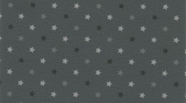 

Линолеум Gerflor Taralay Impression Stars 0744 Anthracite