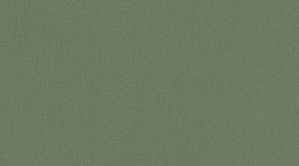

Линолеум Gerflor Taralay Impression Uni 0842 Olive