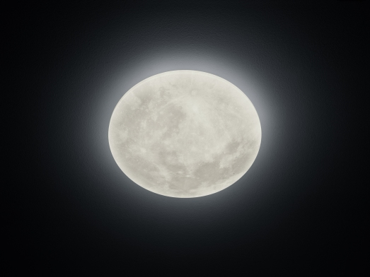 

Потолочный светильник TRIO LUNAR 627516000