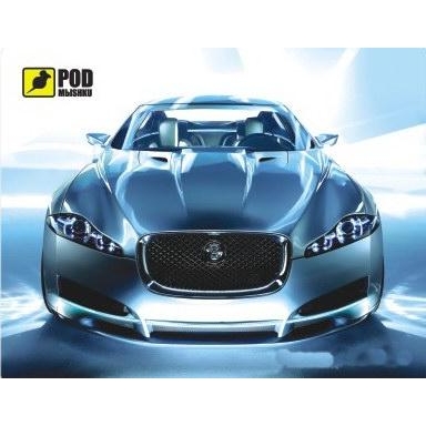 

Игровая поверхность Podmyshku Jaguar (Jaguar)