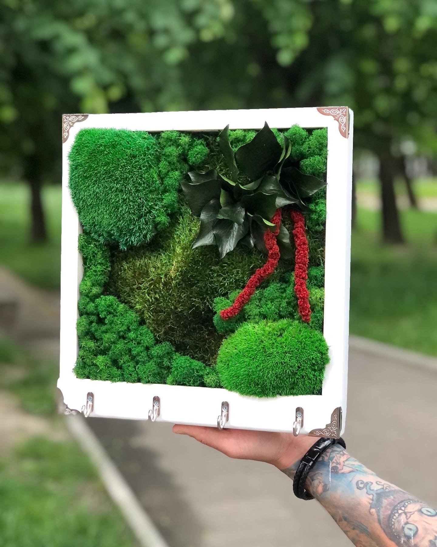 Ключница со стабилизированым мхом и растениями 30*30 см – низкие цены ...