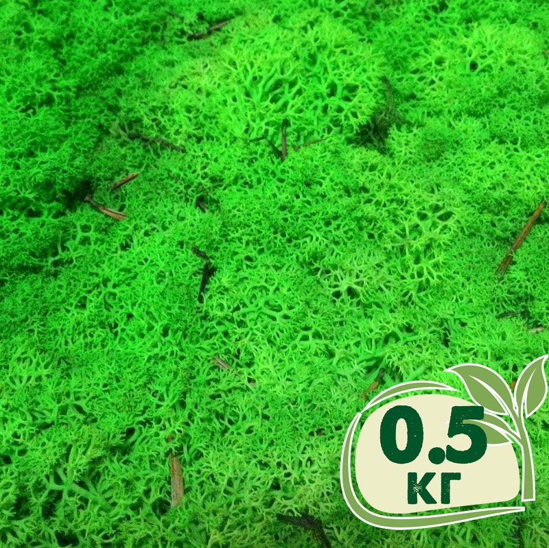 Стабилизированный мох ягель Nordic moss Зеленый травяной светлый 0,5 кг ...