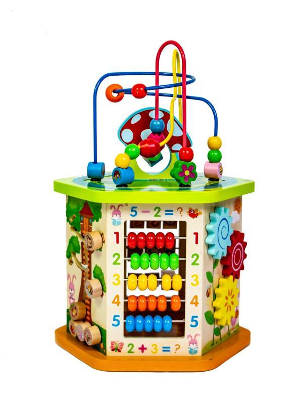 

Деревянная развивающая игрушка-сортер Toys 9 в 1 (ftsd-305)