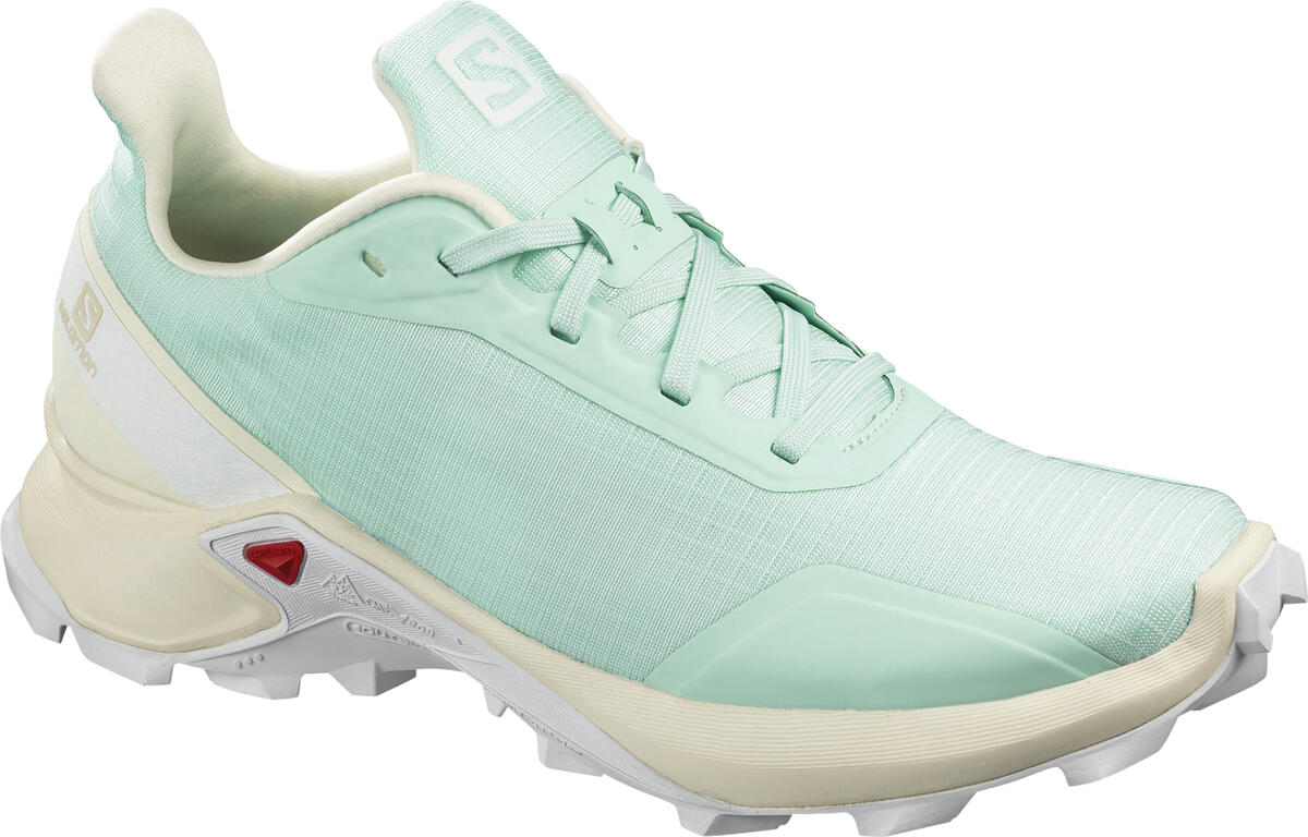 

Кроссовки SALOMON ALPHACROSS W 40.5 (7 UK) 25,5см бирюзовый s409615-7