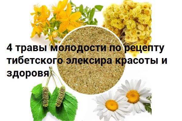 Тибетская чесночная настойка на спирту: рецепт, отзывы врачей