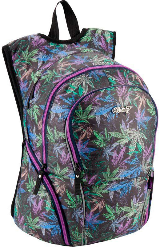 

Рюкзак Kite Кайт 953 Beauty 44×32×18 см 21 л фиолетовый (K19-731M-1)