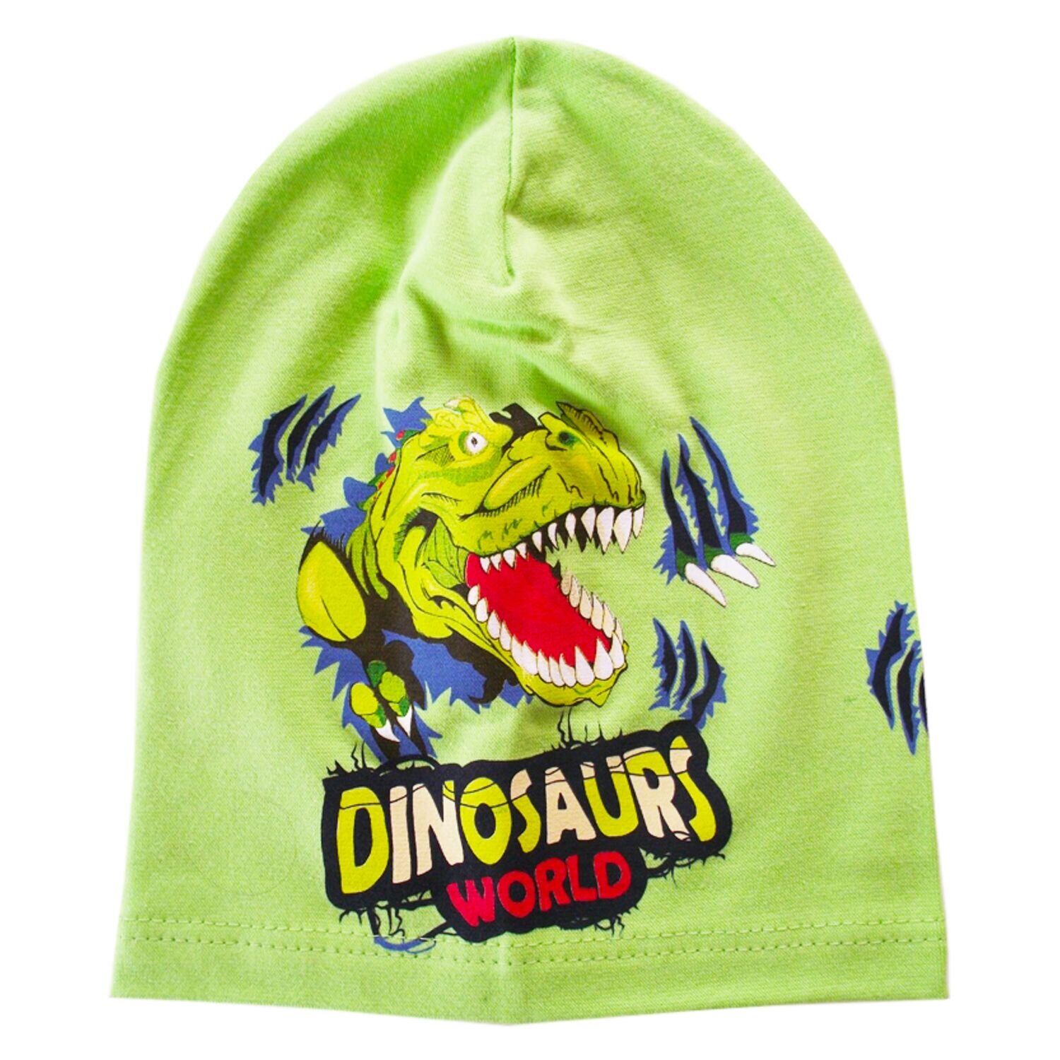 

Трикотажная шапочка DINO Be Snazzy CDL-121056 40-50 см (1-3 года) зеленая