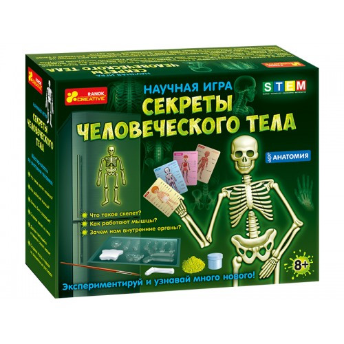 

Научная игра Секреты человеческого тела Ранок