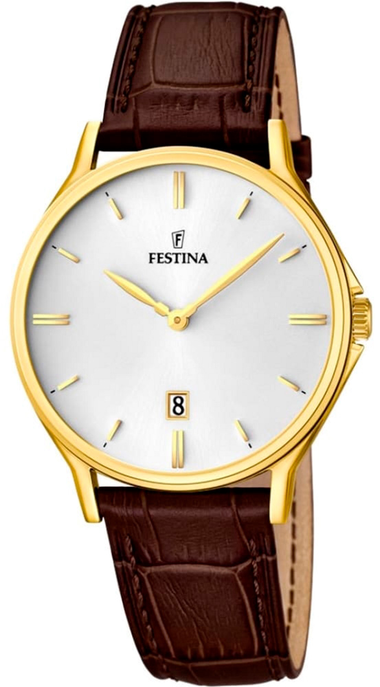 

Мужские часы FESTINA F16747/1
