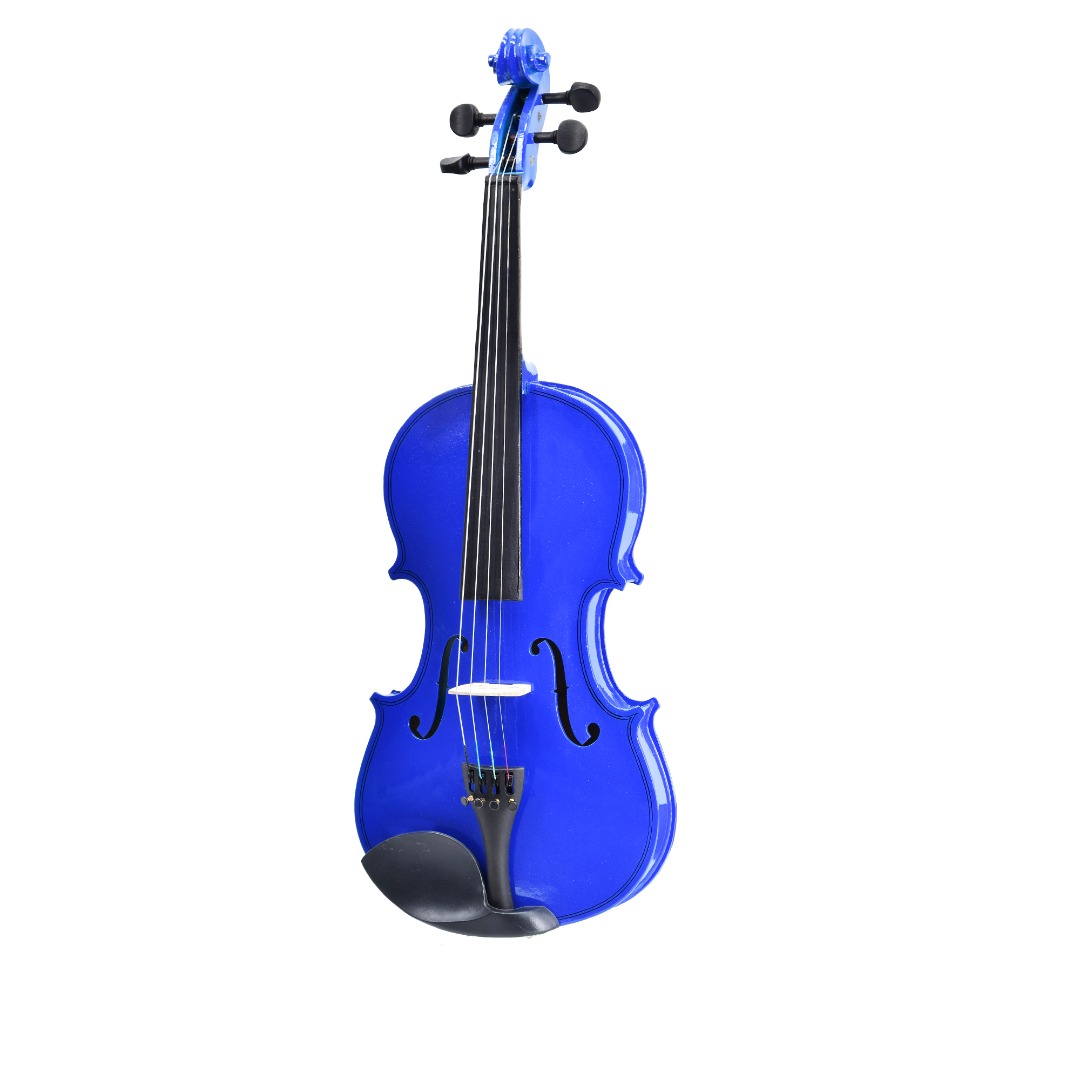 

Скрипка Rose R-10 4/4 BL