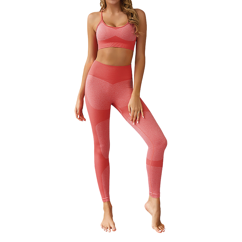 

Комплект спортивный лосины и топ для фитнеса Lesko ZC-1976 Light Pink  для бега фитнеса йоги, Комплект спортивный лосины и топ для фитнеса Lesko ZC-1976 Light Pink S для бега фитнеса йоги