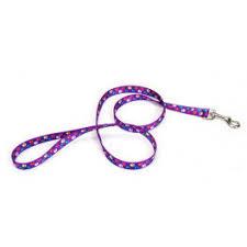 

Поводок для собак Coastal Pet Attire Weave, 1смх1,2м, ромашка