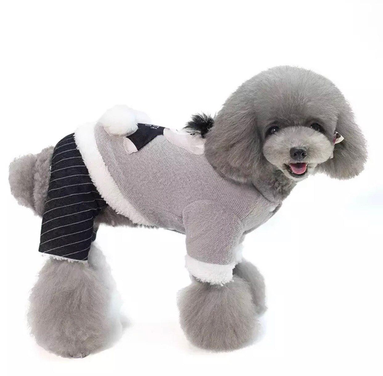 

Комбинезон для собак Dog Baby Teddy L Grey