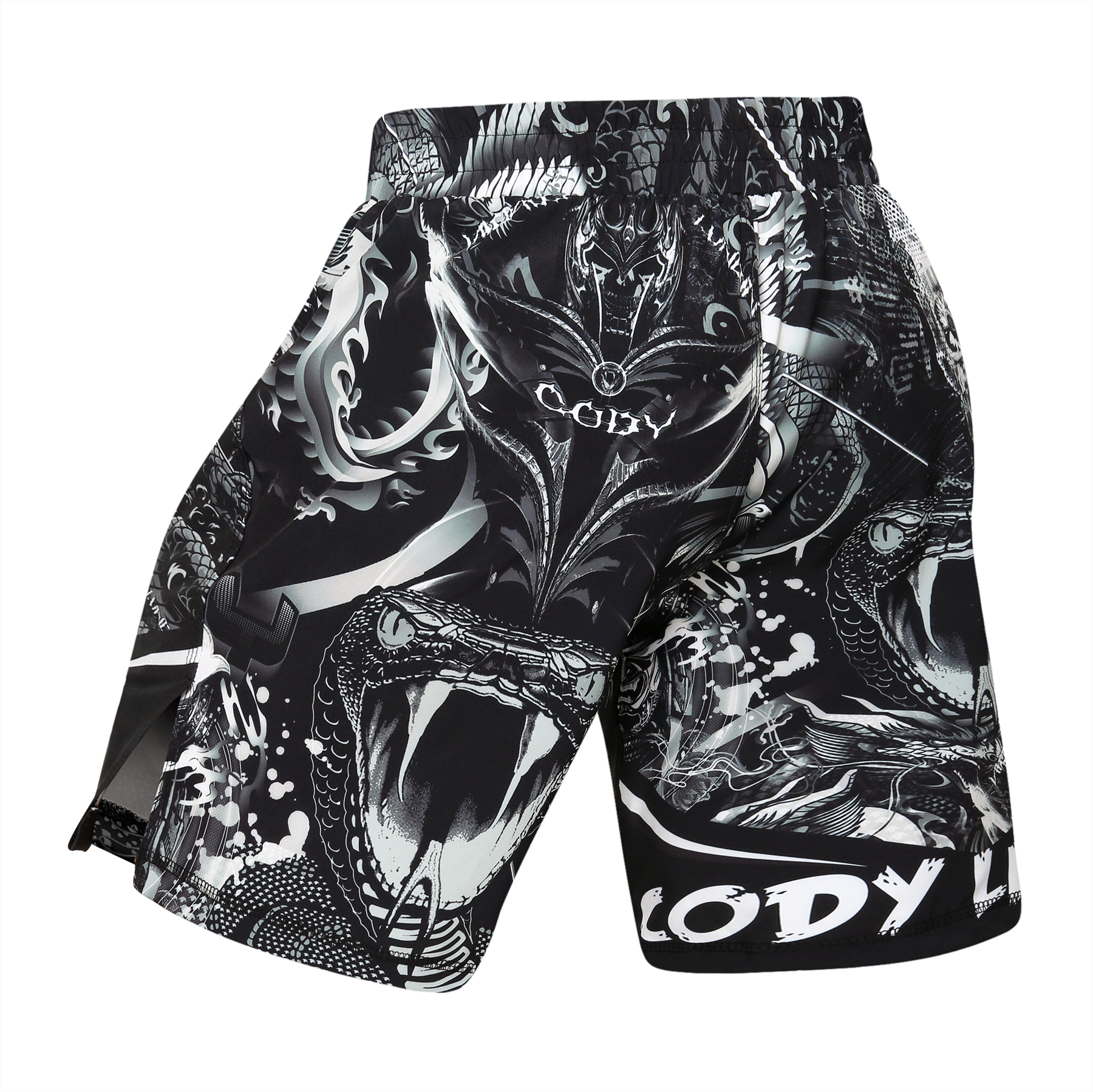 Peresvit Immortal 2.0 Fightshorts Black Rain