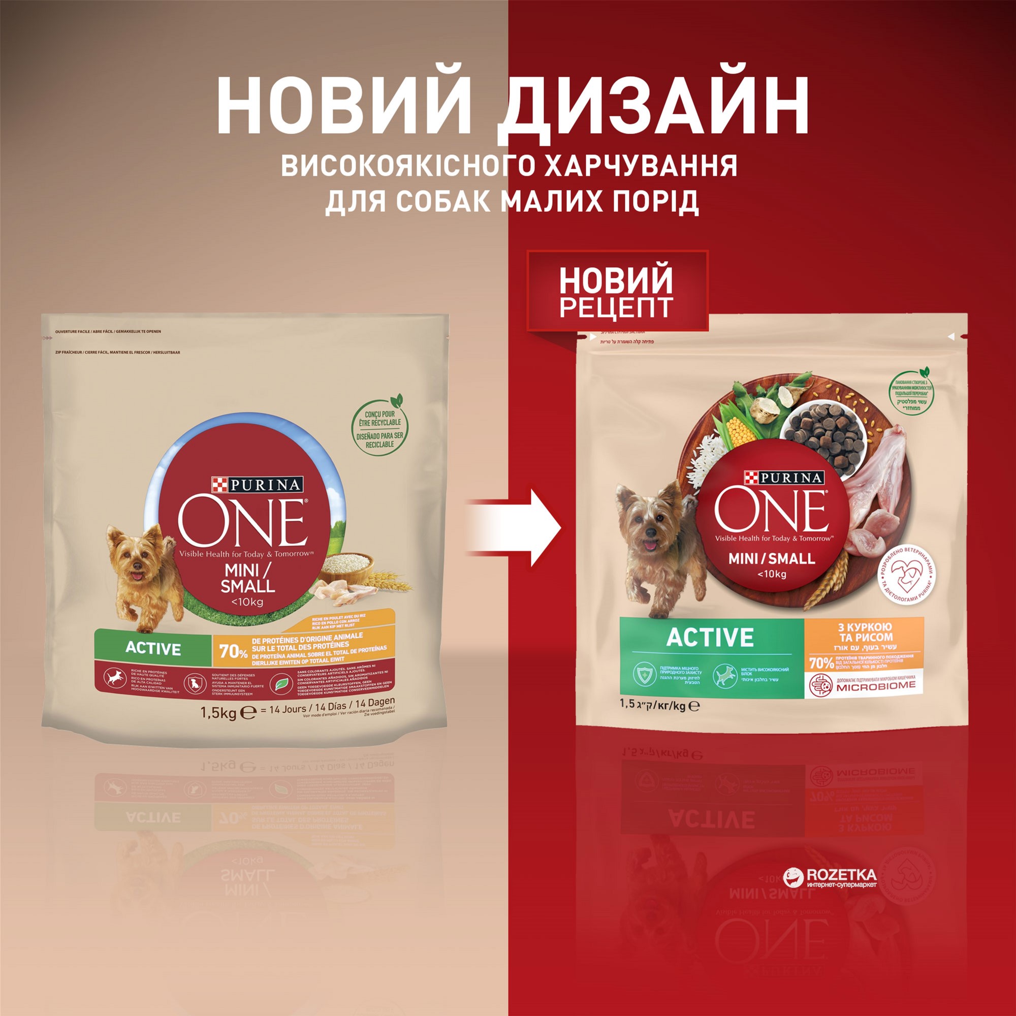 Purina One Mini Small Active