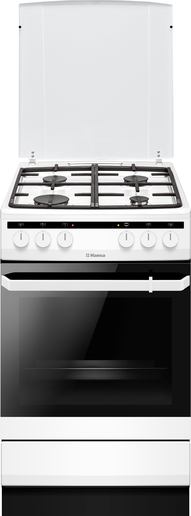Комбинированная плита HANSA FCMW580250 – фото, отзывы, характеристики в ...