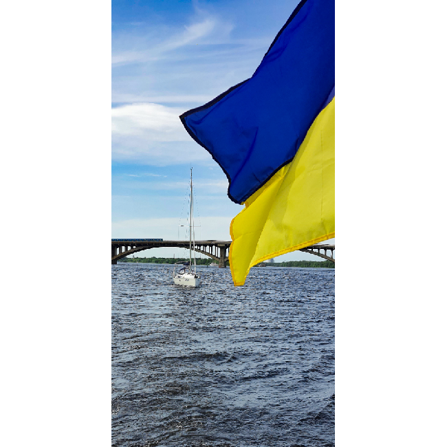 Настенный обогреватель-картина Shine "Мой Киев" (068) 100 х 50 см 215 ...