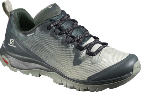 

Женские кроссовки Salomon Vaya GORE-TEX Hiking Shoe Urban Chic/Mineral Gray/Shadow 38