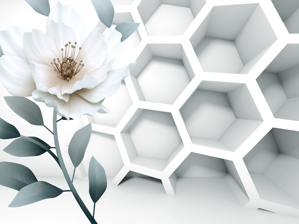 

Фотообои 3D '3d цветок' (6204) , Штукатурка