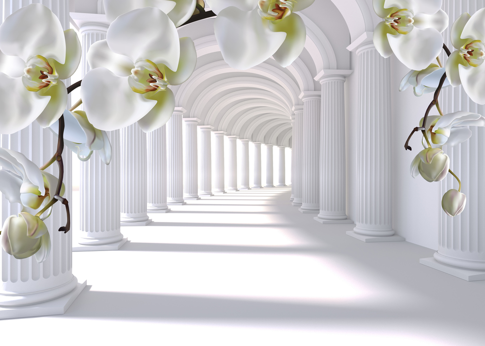 

Фотообои 3D '3Д Тоннель' (6378) , Кожа