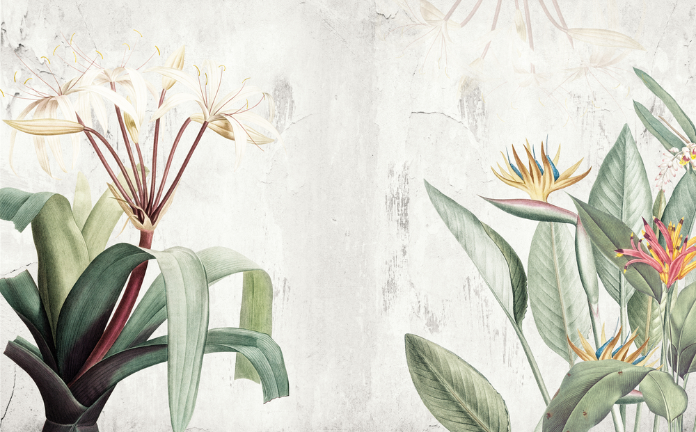 

Фотообои Фоны и текстуры 'Тропические растения' (6218) , Кожа