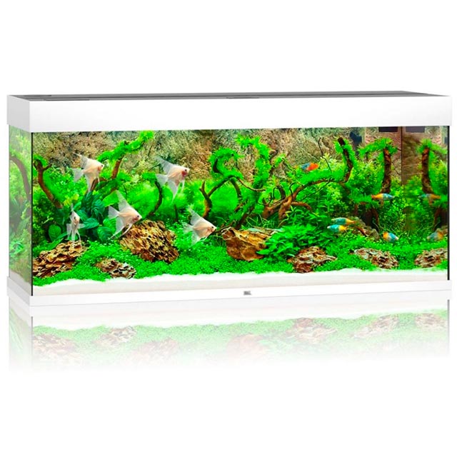 Аквариум Juwel RIO 240 LED - Белый (4022573034509) от продавца: ZOO ...