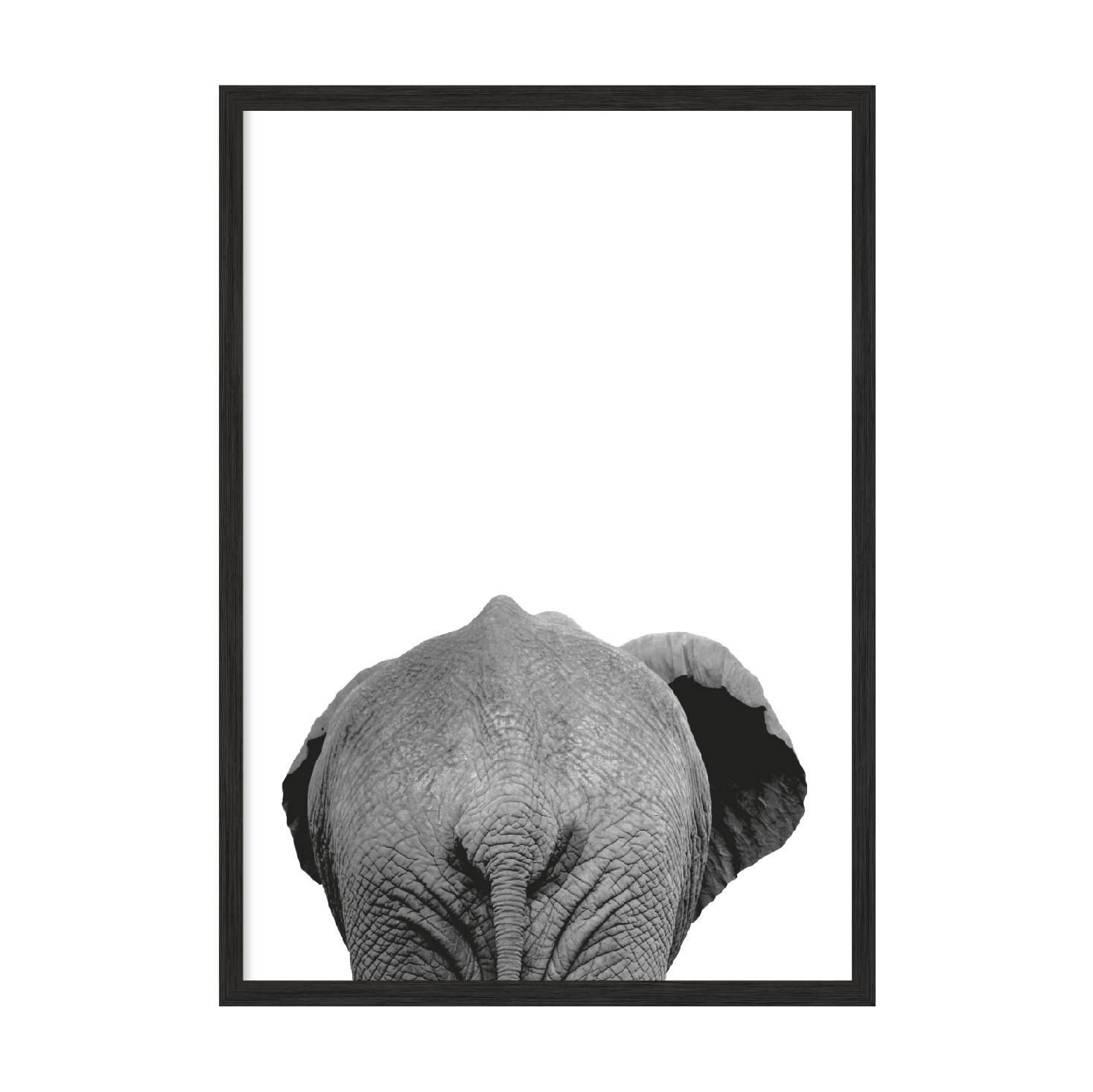 Постер слон сидит сзади