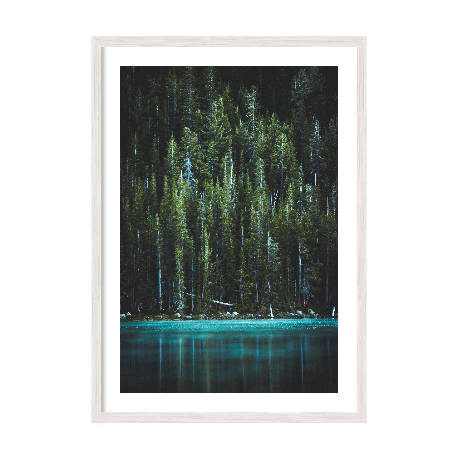 

Постер "Forest" без стекла 596x840 мм в белой рамке