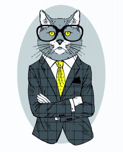 

Картина по номерам "Fashion Cat" ★☆☆