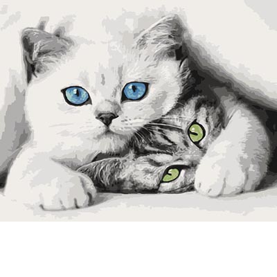 

Раскраска по цифрам Милая парочка KHO4098