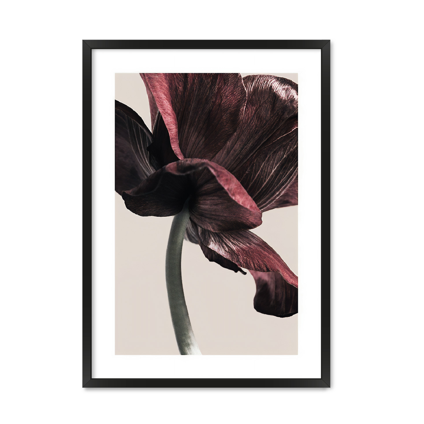 

Постер "EARTH FLOWER #" без стекла 420x594 мм в чёрной рамке