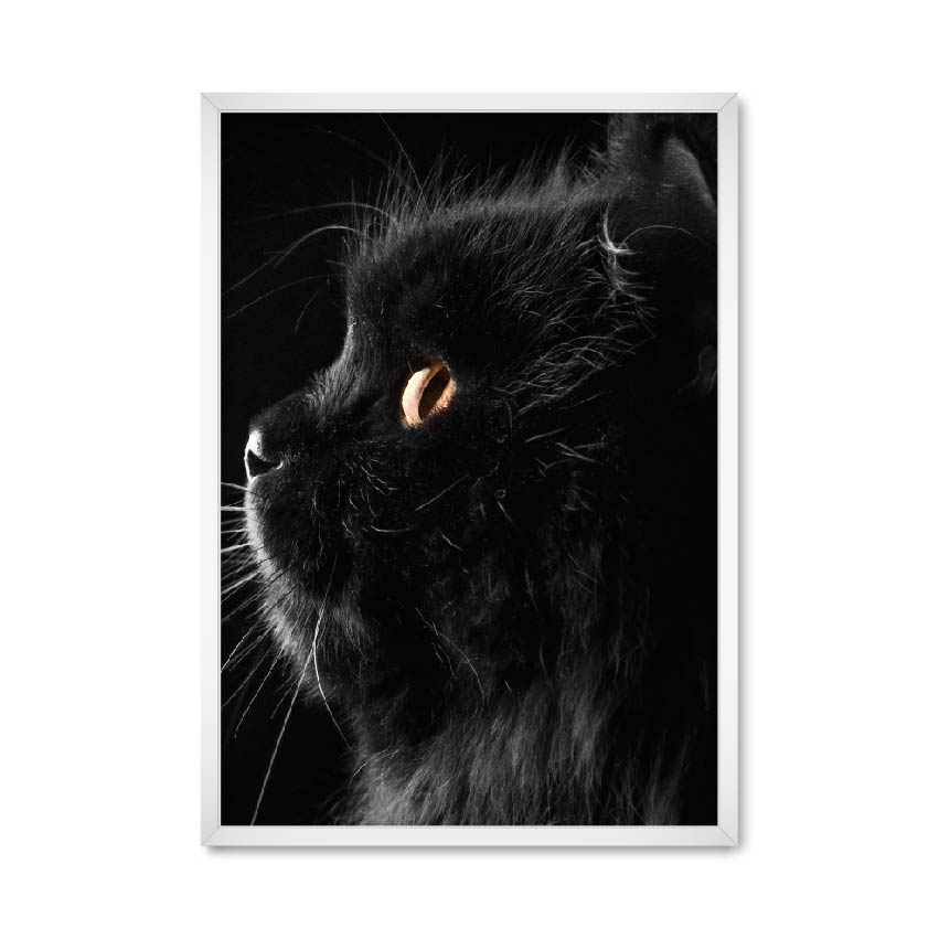 

Постер "Black cat" с антибликовым стеклом 596x840 мм в белой рамке